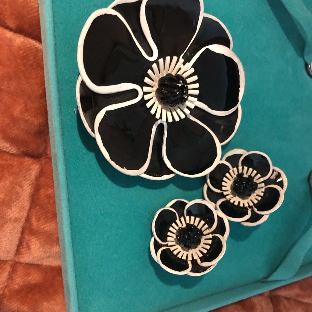 Vintage Enamel Broach and clip Earrings
